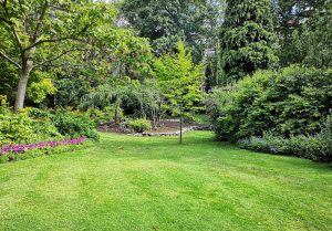 Optimiser l'expérience du jardin à Burnhaupt-le-Bas